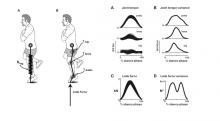 Consistency assessment in biomechanical force generation in running