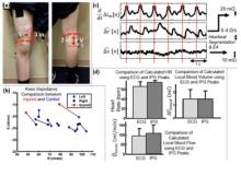 Measuring Joint Sounds in Sports